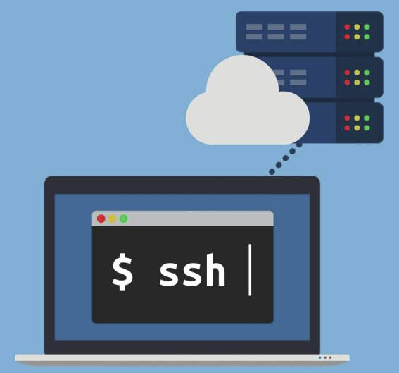 搭建wordpress：2.虚拟主机VPS部署